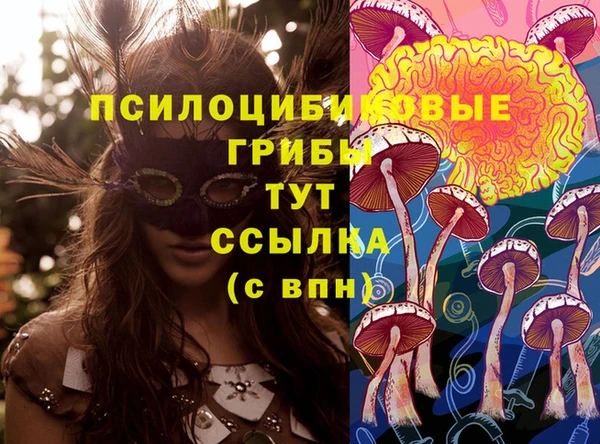 гашик Абдулино