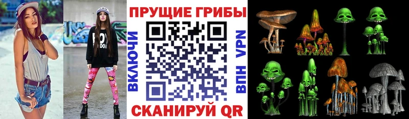 Псилоцибиновые грибы мицелий  Ипатово 