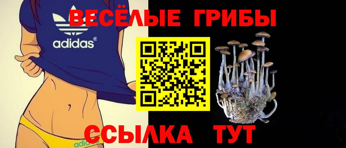 Псилоцибиновые грибы Psilocybine cubensis  Вход с VPN  купить закладку  Ипатово 